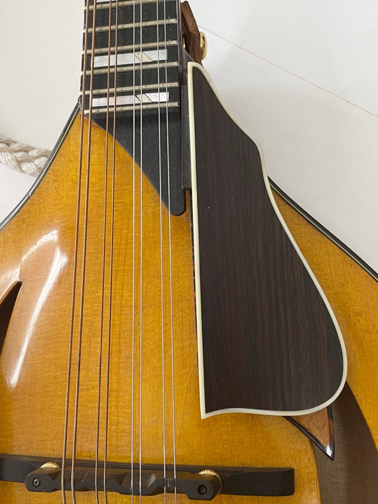 Rosewood bound Fstyle Pickguard cantilevered - Hill Country Stringworks