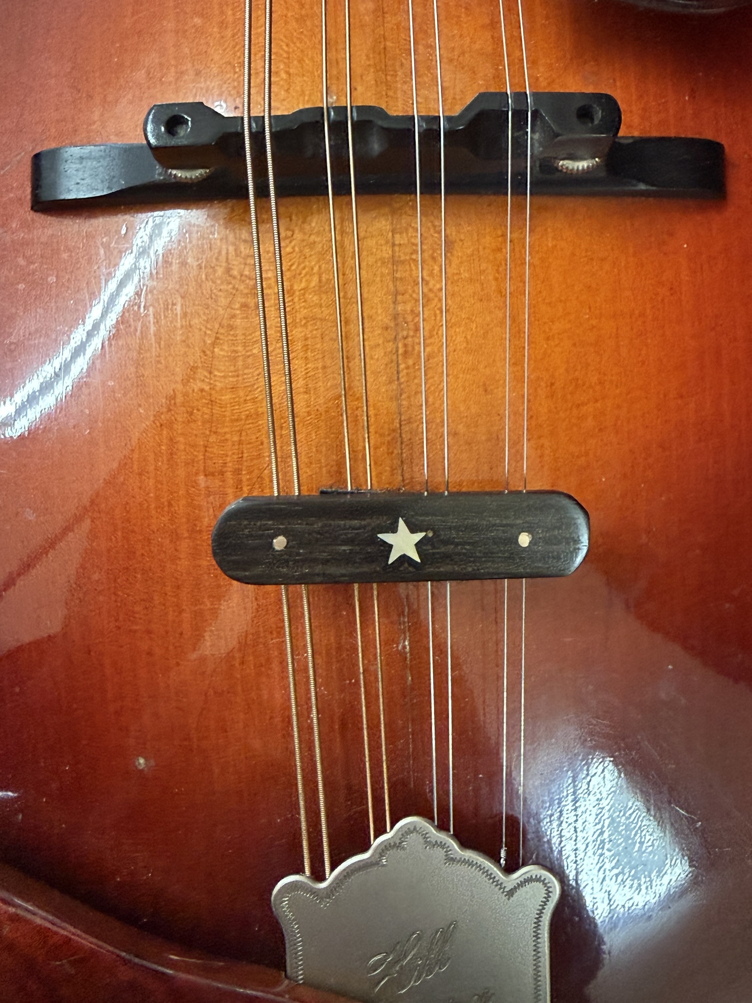 Ebony Inlaid gold star String Suppressor - Hill Country Stringworks